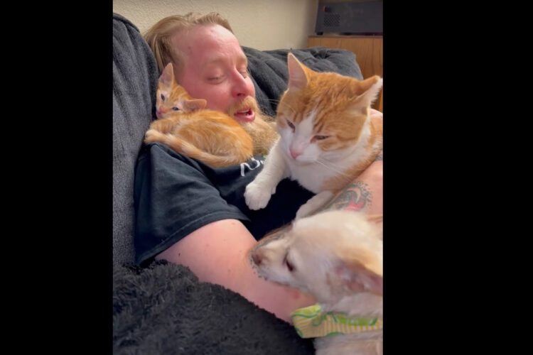 これは身動きが取れない！愛する小さな家族に埋もれたパパさんはまるでベッドになっているみたい【海外・動画】