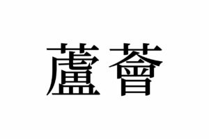 【読めたらスゴイ！】「蘆薈」って何のこと？実はよく見る植物の名前だった！この漢字、あなたは読めますか？