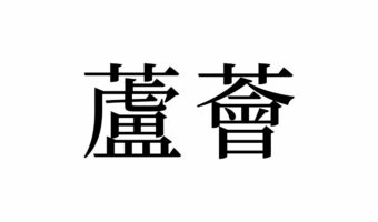【読めたらスゴイ!】「蘆薈」って何のこと?実はよく見る植物の名前だった!この漢字、あなたは読めますか?