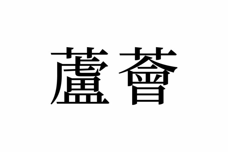 【読めたらスゴイ！】「蘆薈」って何のこと？実はよく見る植物の名前だった！この漢字、あなたは読めますか？