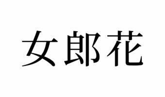 【読めたらスゴイ！】「女郎花」ってどんな花？「男郎花」もある！？この漢字、あなたは読めますか？