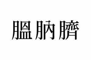 【読めたらスゴイ！】「膃肭臍」とは一体何のこと！？ヒントは海の生き物です！この漢字、あなたは読めますか？