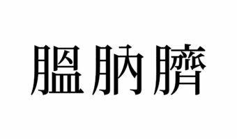 【読めたらスゴイ!】「膃肭臍」とは一体何のこと!?ヒントは海の生き物です!この漢字、あなたは読めますか?
