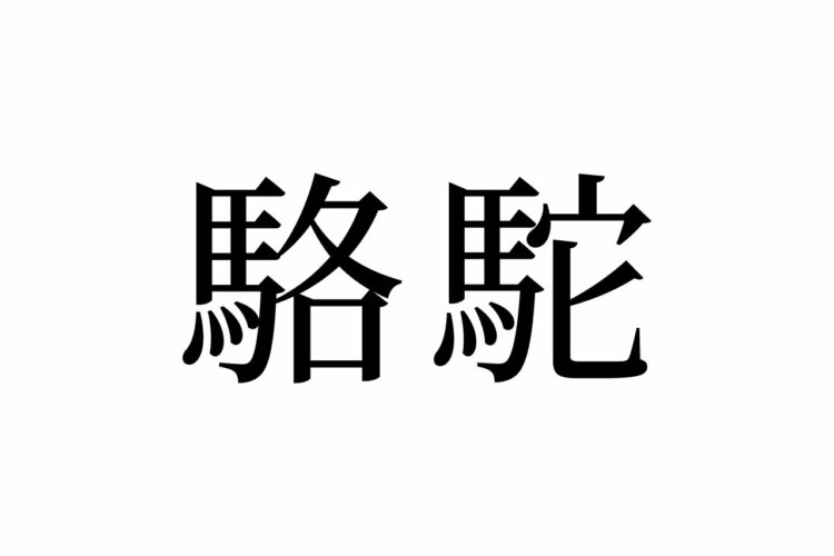 【読めたらスゴイ！】「駱駝」って一体何のこと！？昔は違う呼び名だった！？この漢字、あなたは読めますか？