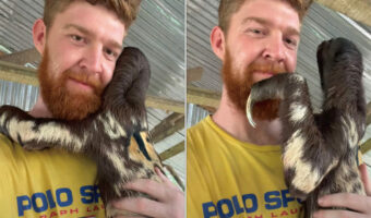 撮影者さんにギュッと抱きつくのは、鋭い爪を持つ危険動物!?と思いきや、とてもおとなしい『あの動物』でした!!【海外・動画】