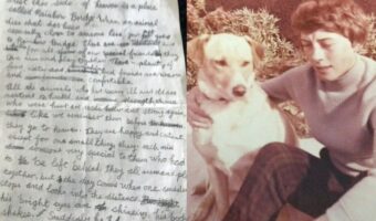 これまでペットロスになった飼い主の心を癒してきた有名な詩『虹の橋』。長年不明とされていた作者がついに判明！！