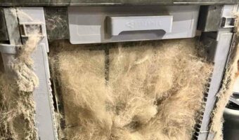 ペットのいるご家庭は気を付けて！「最近、空気清浄機を掃除してねぇな・・・」と思って開けてみたらビックリ！