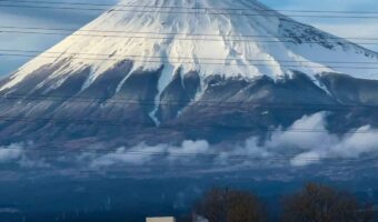 富士山頂に巨大な鳥!?“存在感がすごすぎる鳥”の写真にビックリした!