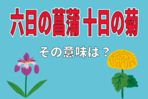 「六日の菖蒲 十日の菊」とはどんな意味？菖蒲と菊なのには何の理由があるの？