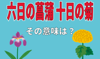 「六日の菖蒲 十日の菊」とはどんな意味?菖蒲と菊なのには何の理由があるの?