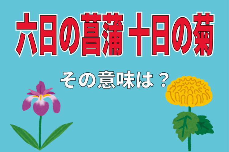 「六日の菖蒲 十日の菊」とはどんな意味？菖蒲と菊なのには何の理由があるの？