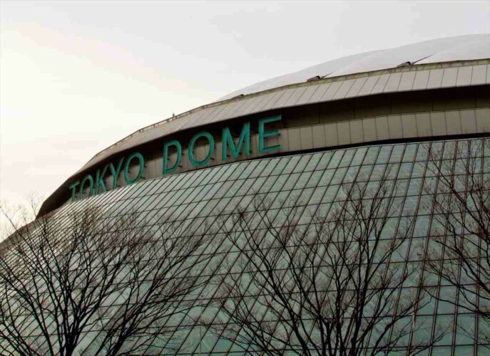 【WBCで話題】世界で唯一！大谷翔平から三振を奪った電気技師！ チェコ代表のオンジェイ・サトリア投手が話題に