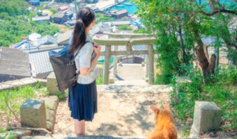 このアニメ映画見たい!!と思うような構図の写真が素敵!この猫ちゃん絶対しゃべるタイプの子だよね