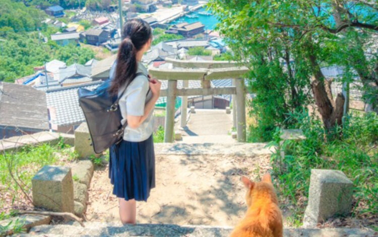 このアニメ映画見たい！！と思うような構図の写真が素敵！この猫ちゃん絶対しゃべるタイプの子だよね