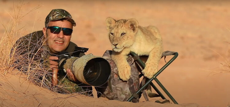 写真家のアシスタントは赤ちゃんライオン！撮影に同行した赤ちゃんライオンが超かわいい！