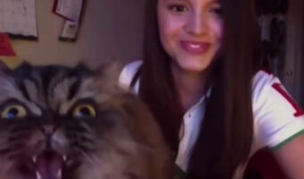 オペラを歌っていた少女の前に猫が乱入！代わりに素晴らしいオペニャを披露！