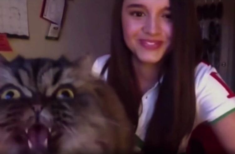 オペラを歌っていた少女の前に猫が乱入！代わりに素晴らしいオペニャを披露！