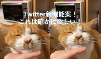 イーロンマスク様へ、こんな映像ばかり流れるお疲れの人用のTL機能を実装するべき!これは本当に欲しいかも!