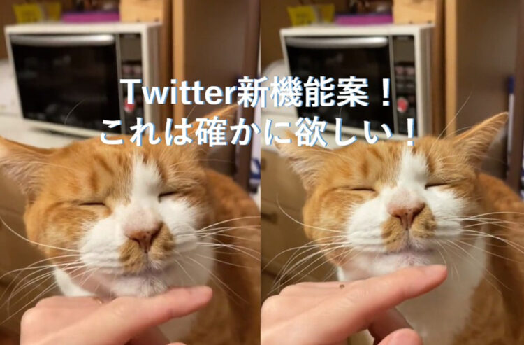 イーロンマスク様へ、こんな映像ばかり流れるお疲れの人用のTL機能を実装するべき！これは本当に欲しいかも！