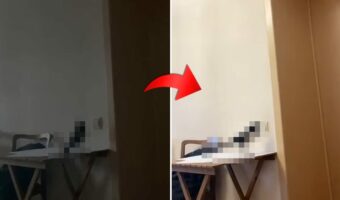 音声認識で部屋の照明が点灯したと思ったら・・、男性の声に反応してスイッチを押している子がいました!!