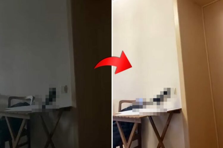 音声認識で部屋の照明が点灯したと思ったら・・、男性の声に反応してスイッチを押している子がいました！！