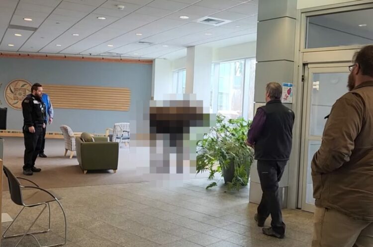 病院に現れた珍しいお客さん。警備員さんたちに取り囲まれているそのお客さんというのは・・、『ある野生動物』でした！！【アメリカ・動画】