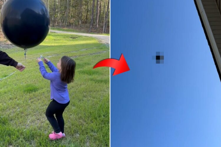 風船を割った色で赤ちゃんの性別をサプライズ発表！生まれてくる子は男の子？女の子？？その答えは・・