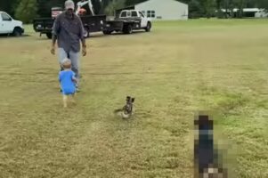 父子のほっこり映像かと思えば・・、愛犬のおどけた行動が注目を独り占めにした映像に大反響！！再生回数300万回突破！？