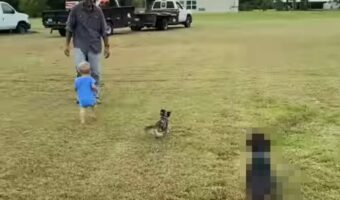 父子のほっこり映像かと思えば・・、愛犬のおどけた行動が注目を独り占めにした映像に大反響!!再生回数300万回突破!?