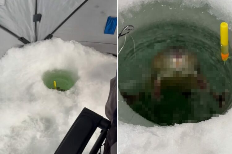 アイスフィッシングをしていたら氷の穴の中から珍しいお客さんが姿を現した！その正体とは・・？？