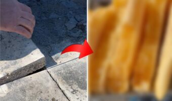 コンクリートスラブ、つまりコンクリ製の板を剥がすと・・・、そこには黄金色に輝くビックリする光景が！！【海外/動画】