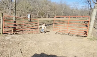 ゲートを閉めるのに苦戦する男の子。柵をひとつ閉めたら、もうひとつの柵もすぐに閉じようとしますが・・【アメリカ・動画】