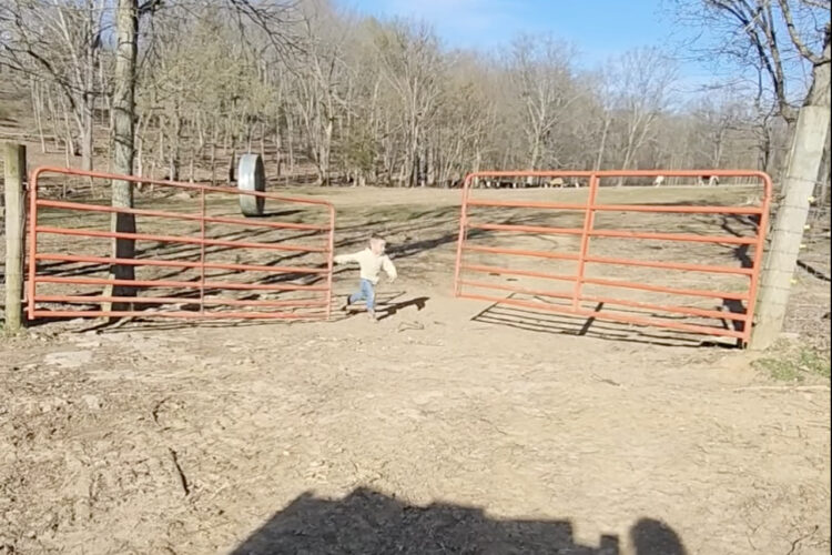 ゲートを閉めるのに苦戦する男の子。柵をひとつ閉めたら、もうひとつの柵もすぐに閉じようとしますが・・【アメリカ・動画】