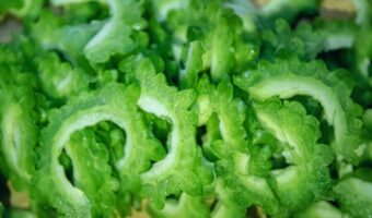 5月8日は「ゴーヤーの日」!なぜこの日がゴーヤの記念日なの?ゴーヤとはどんな野菜なの?