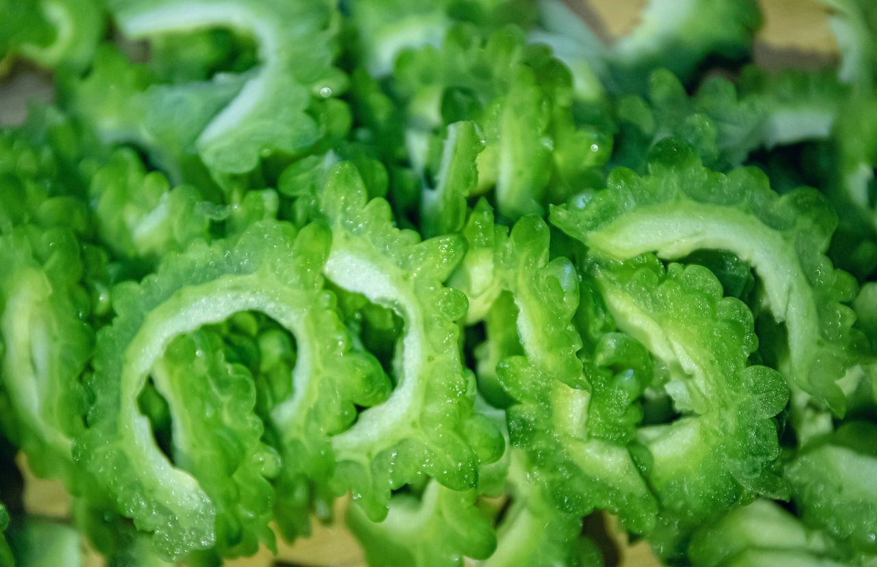 5月8日は「ゴーヤーの日」!なぜこの日がゴーヤの記念日なの?ゴーヤとはどんな野菜なの?