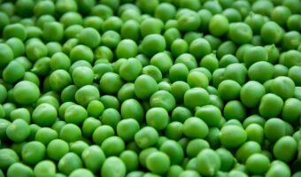 ミックスベジタブルに入っている「グリーンピース」って旬はある？？