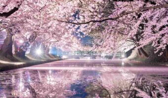 美しすぎる弘前城の“桜リフレクション”が話題に!「こんなに綺麗なリフレクションを見たのは初めてかも」