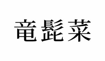 【読めたらスゴイ!】「竜髭菜」って何のこと!?今が旬なあの野菜のことだった!この漢字、あなたは読めますか?