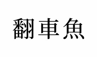 【読めたらスゴイ!】「翻車魚」ってどんな魚?車に似てる!?この漢字、あなたは読めますか?