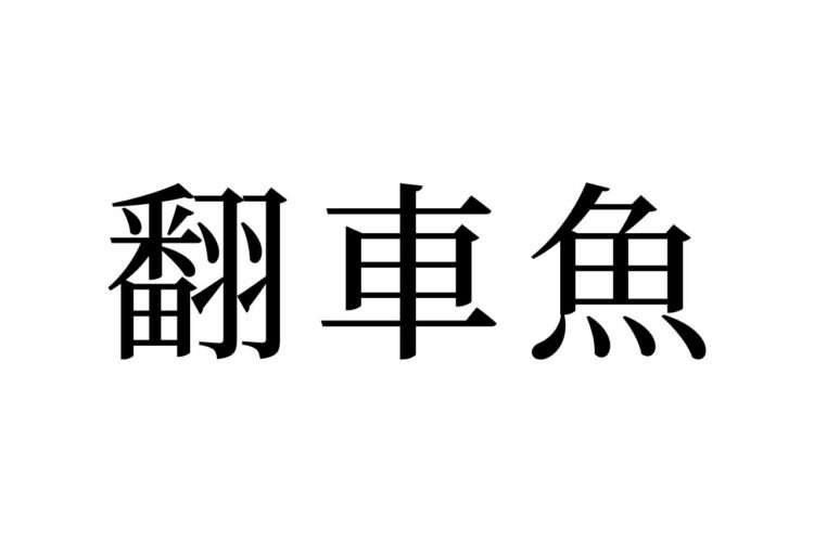 【読めたらスゴイ！】「翻車魚」ってどんな魚？車に似てる！？この漢字、あなたは読めますか？