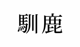 【読めたらスゴイ！】「馴鹿」ってどんなシカ！？動物の名前！？この漢字、あなたは読めますか？