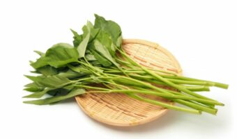 中華料理で見かける「空芯菜」とはどんな野菜?その旬や原産地について解説!!危険な食べ物だったりするの?