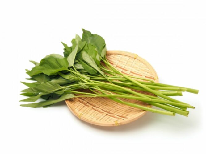 中華料理で見かける「空芯菜」とはどんな野菜？その旬や原産地について解説！！危険な食べ物だったりするの？