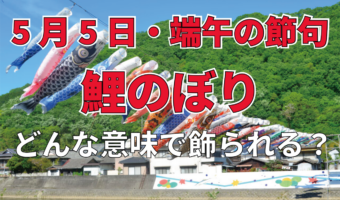 端午の節句で飾られる「鯉のぼり」。その由来や歴史とは？！
