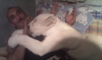 ライオンは甘えん坊？指をしゃぶって離れないその姿がとってもかわいい！！