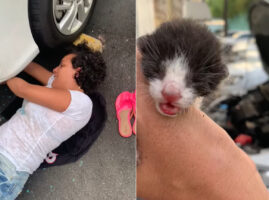 ボンネットの中で出産しちゃったの！？車体の裏を探る女性が見つけたのは、なんと生まれたばかりの猫の赤ちゃんだったのです