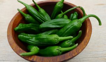 「ししとう」の種は食べても問題ないもの?そもそも辛い食べ物なの?それとも辛くないの??