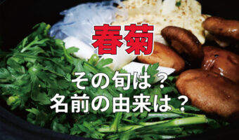 天ぷらにしても鍋に入れても美味しい「春菊」の旬は?名前の通り春の野菜かと思いきや・・