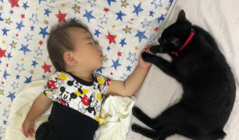 ママが尊すぎて言葉を失った光景!なんと可愛い兄弟なのでしょうか!