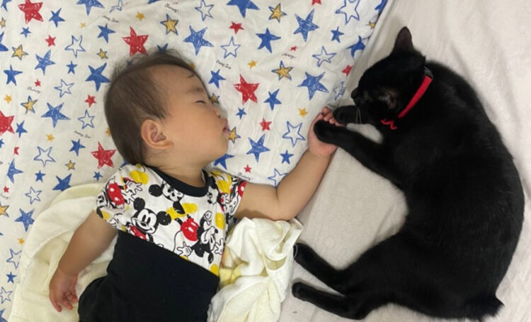 ママが尊すぎて言葉を失った光景！なんと可愛い兄弟なのでしょうか！